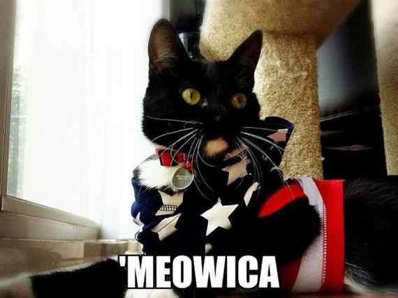 funny-pictures-782