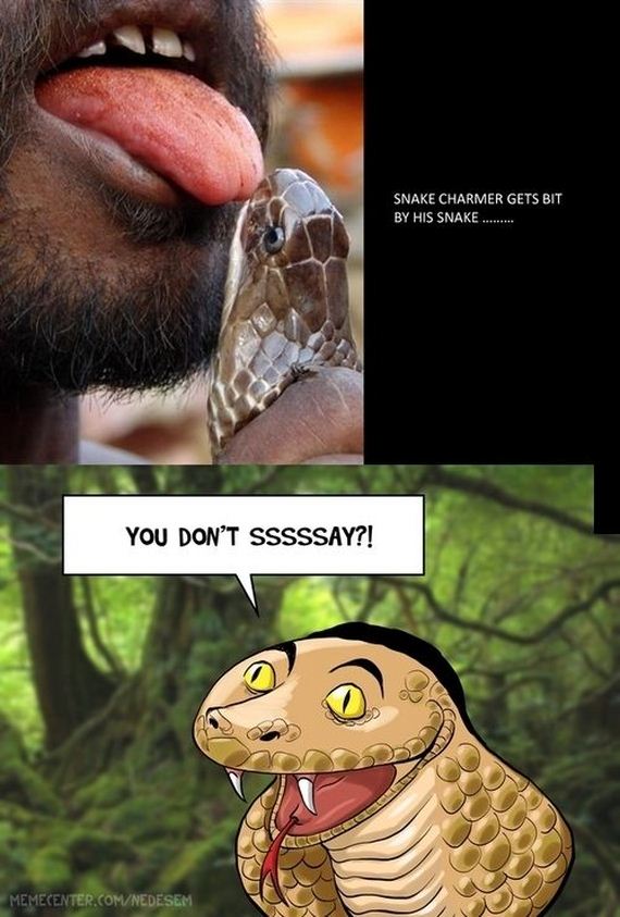 funny-pictures-782