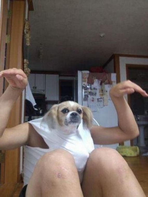 funny-pictures-782