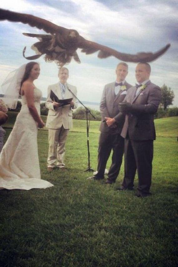 funny-pictures-782