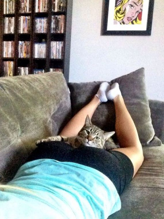 funny-pictures-782