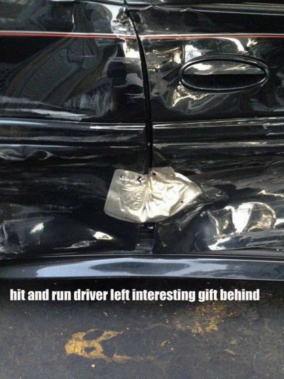 funny-pictures-782