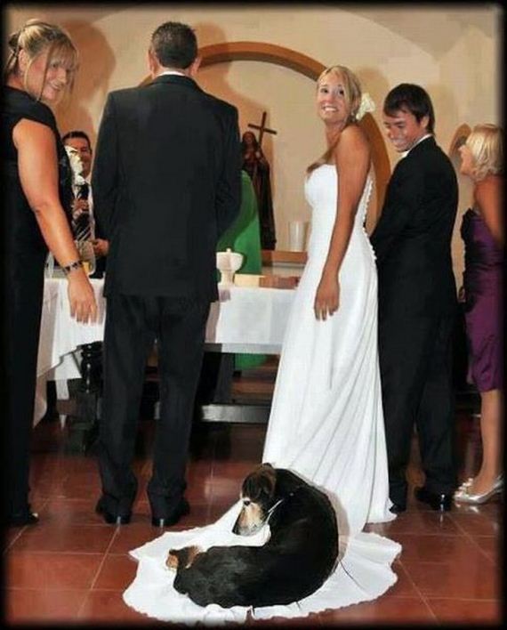 funny-pictures-783