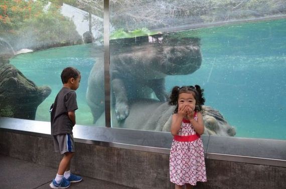 funny-pictures-784