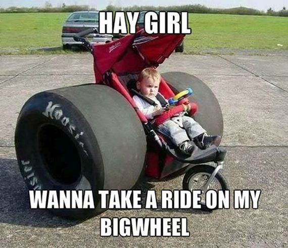 funny-pictures-784