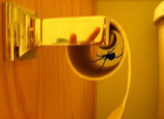 funny-pictures-785