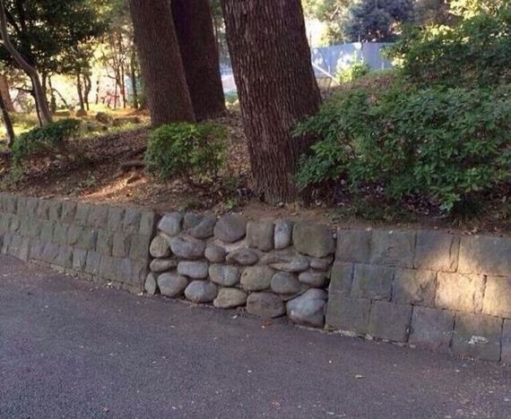funny-pictures-786