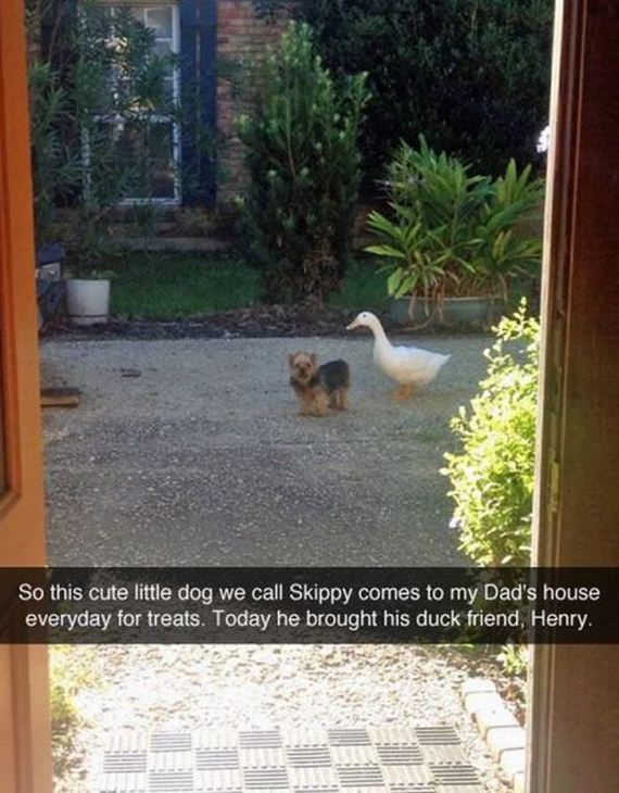 funny-pictures-786