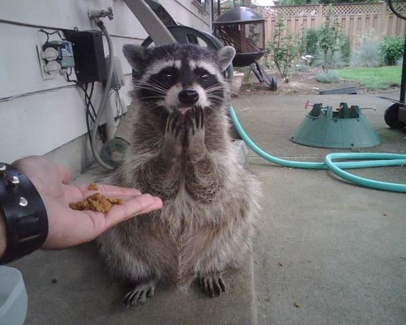 funny-pictures-787