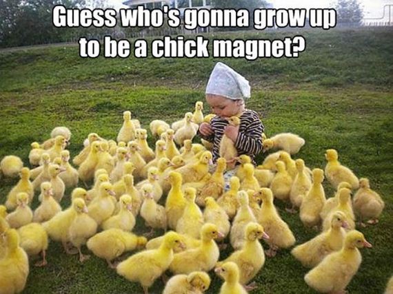 funny-pictures-787