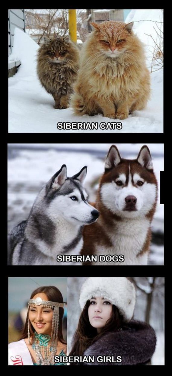 funny-pictures-787