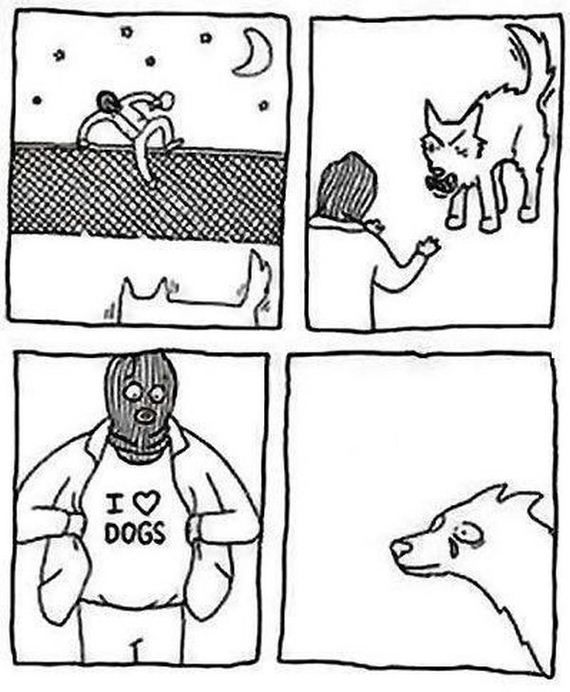 funny-pictures-787