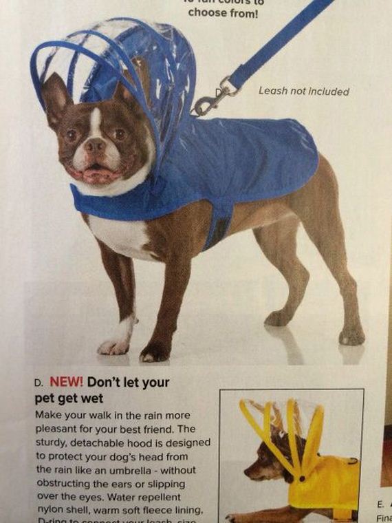 funny-pictures-787