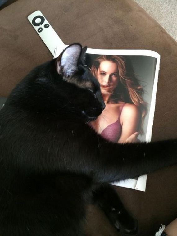 funny-pictures-787