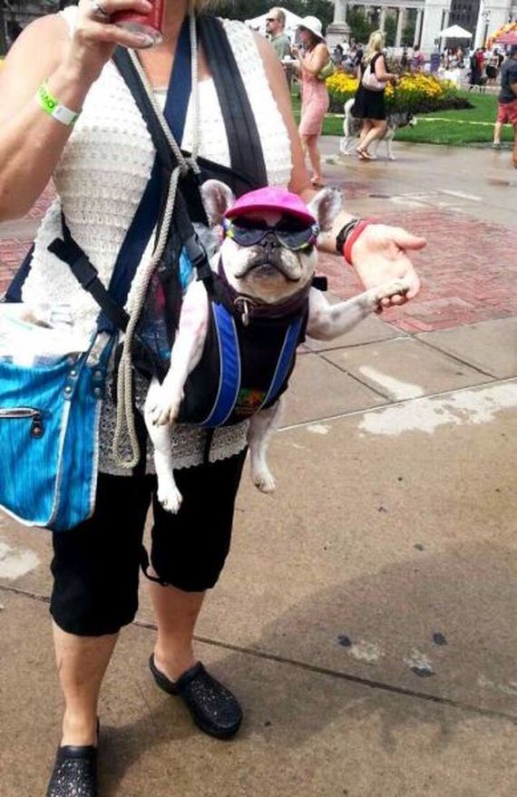 funny-pictures-787