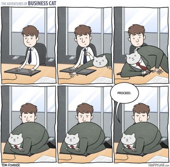 funny-pictures-787