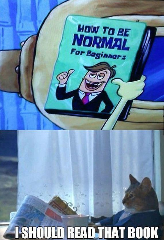 funny-pictures-787