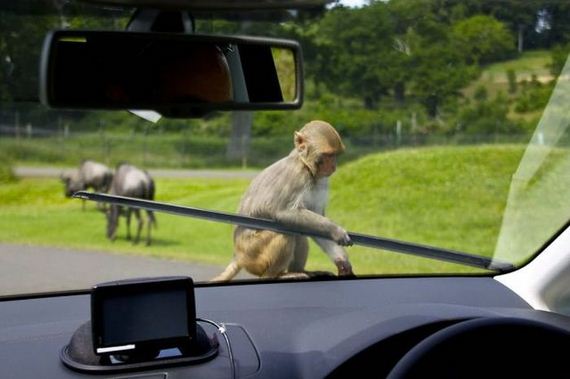 funny-pictures-789