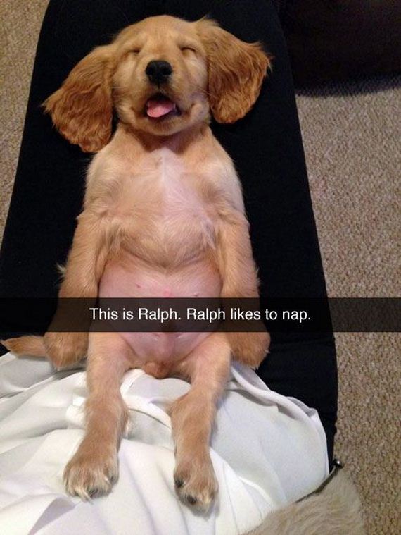 funny-pictures-789