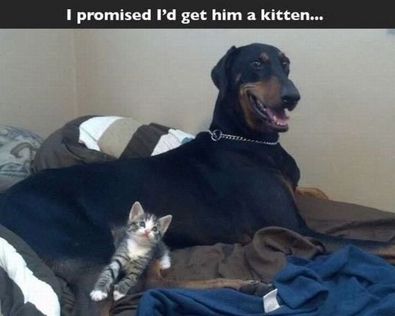 funny-pictures-789