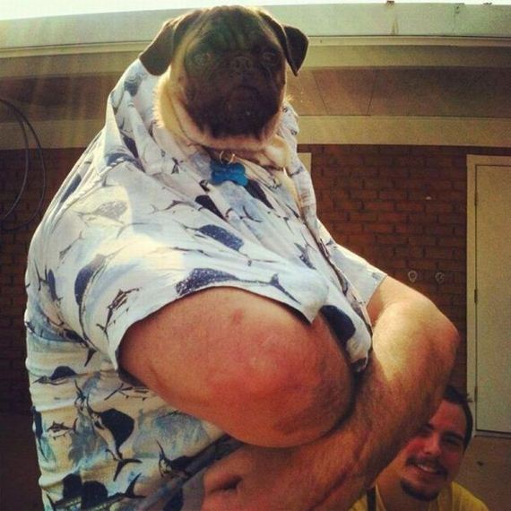 funny-pictures-789