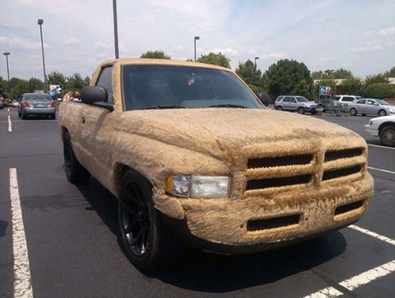 funny-pictures-789