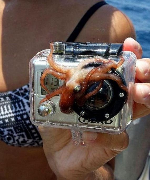 funny-pictures-789