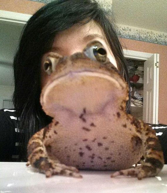funny-pictures-789