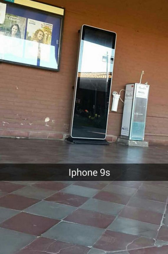 funny-pictures-789