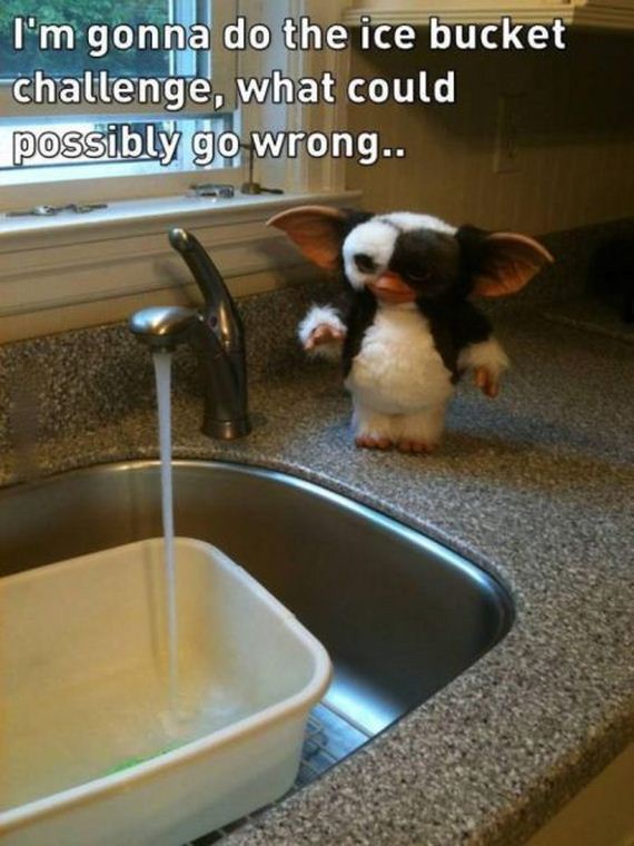 funny-pictures-789