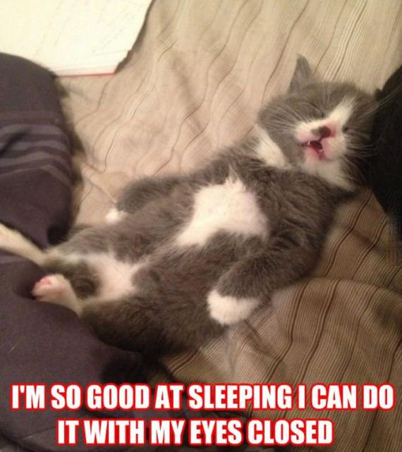 funny-pictures-789