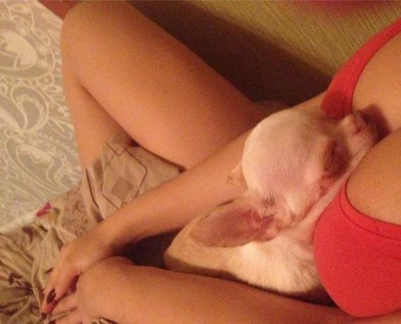 funny-pictures-790