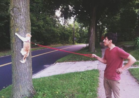 funny-pictures-790