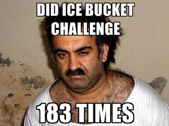 funny-pictures-790