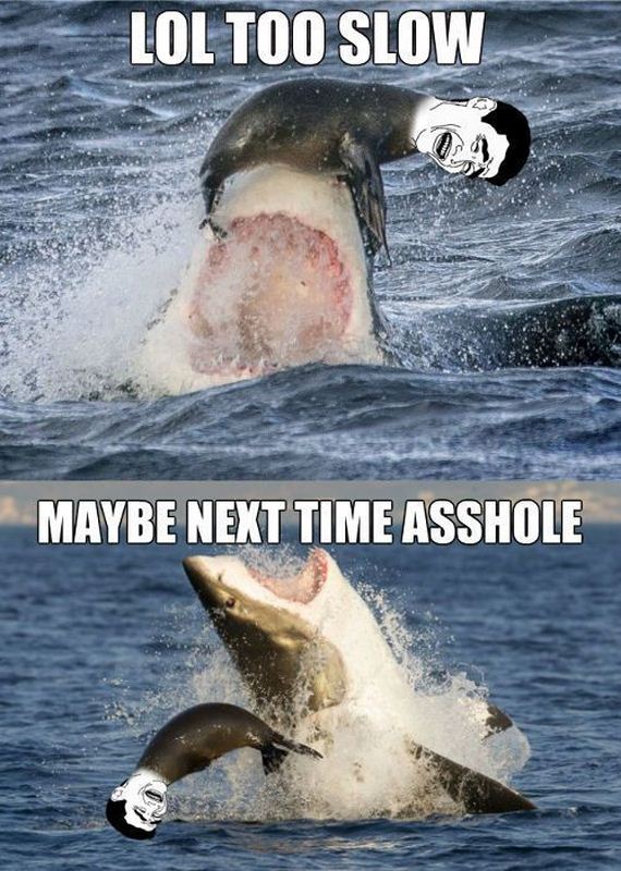 funny-pictures-790