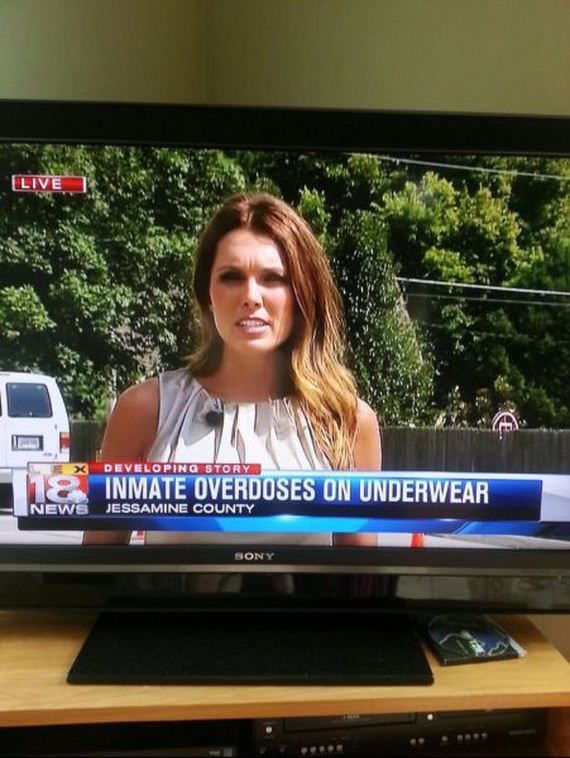 funny-pictures-790