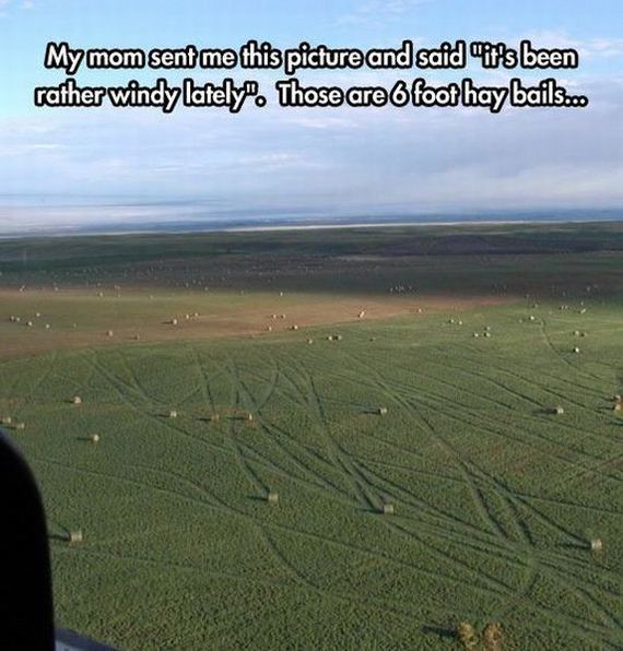 funny-pictures-790