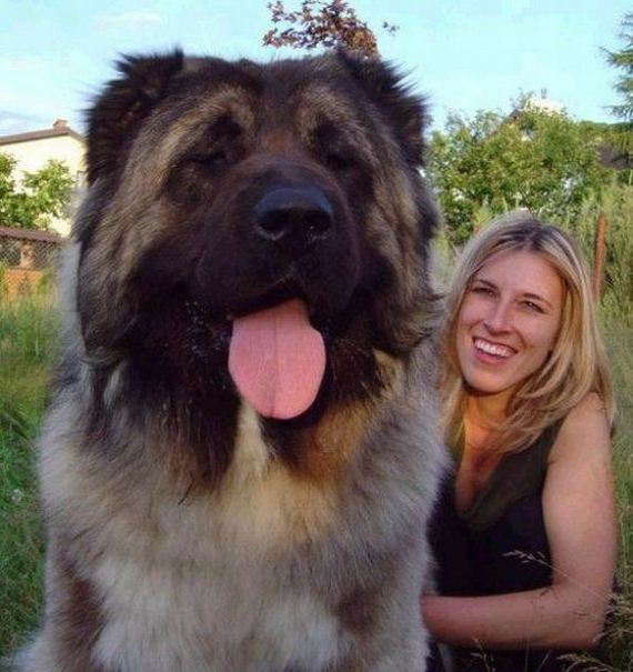 funny-pictures-790
