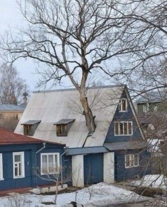 funny-pictures-790
