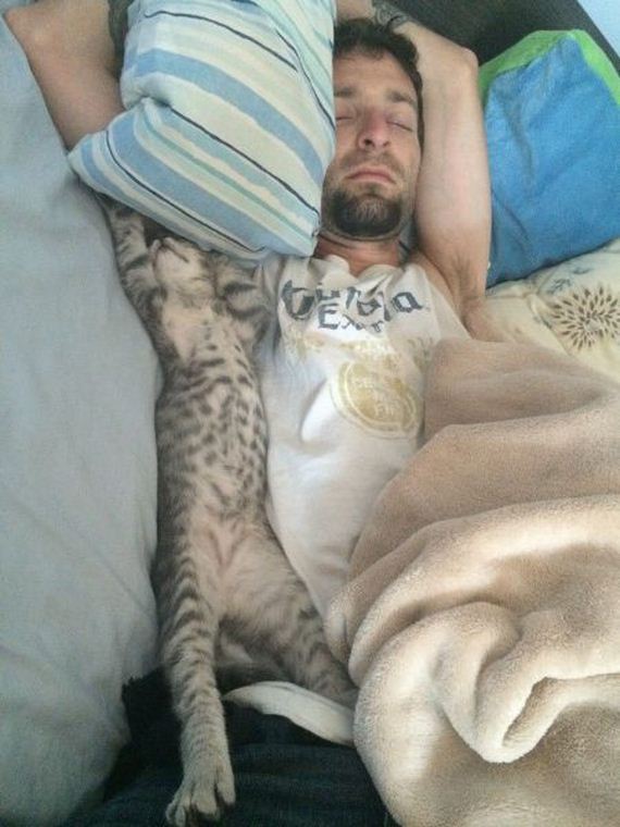 funny-pictures-790