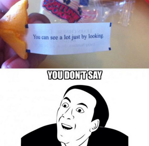 funny-pictures-790