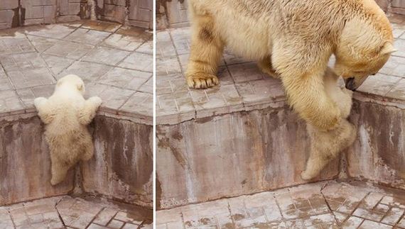 funny-pictures-791