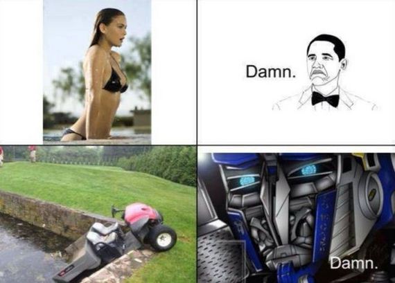 funny-pictures-791