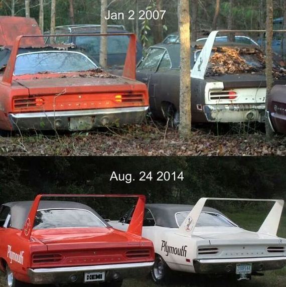funny-pictures-791
