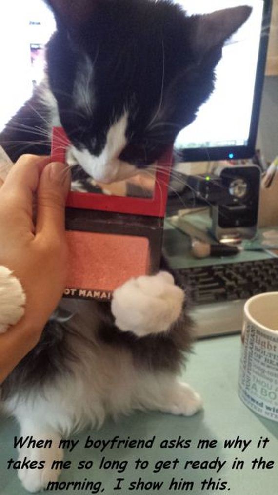 funny-pictures-791