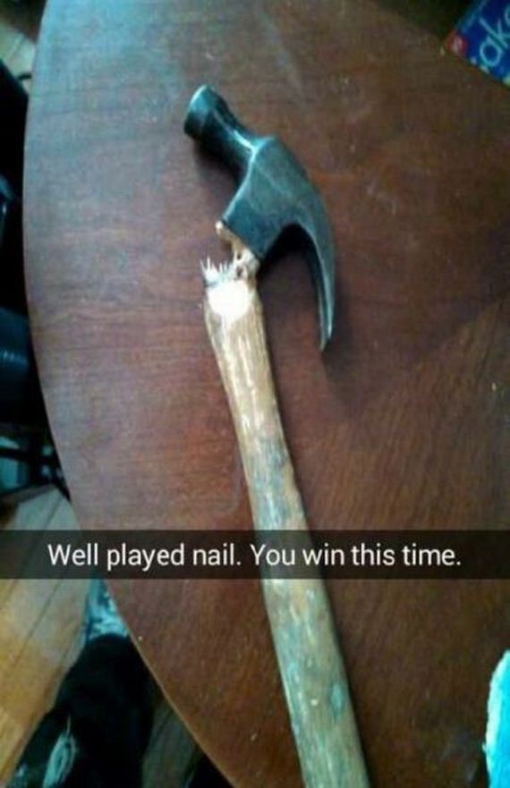 funny-pictures-791