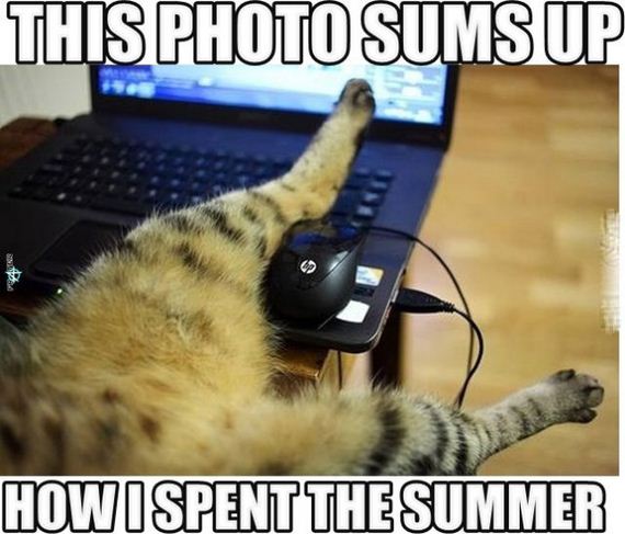 funny-pictures-792