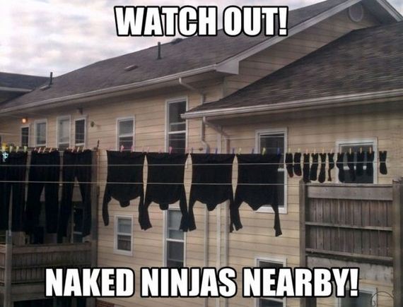 funny-pictures-793