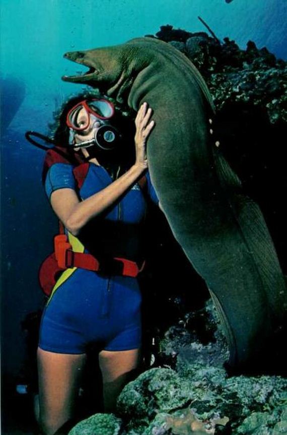 funny-pictures-793