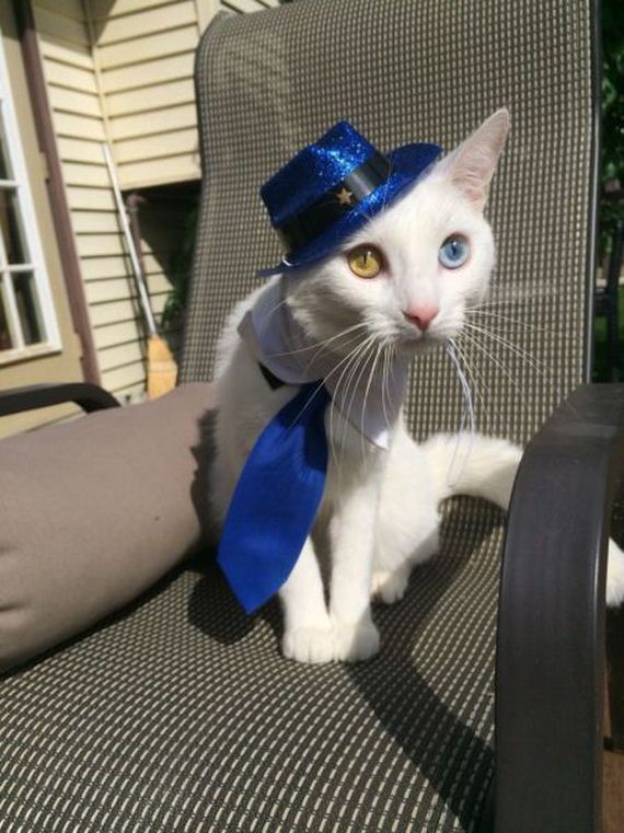 funny-pictures-793